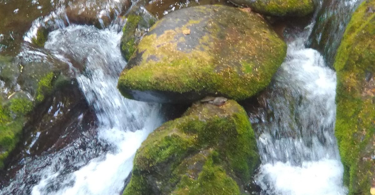 Free stock photo of creek, Mossy rocks, river