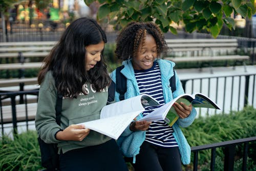 Felices Niñas Multiétnicas Estudiando Juntos En El Parque