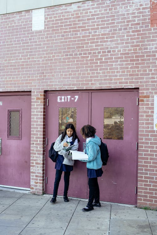 Free Full body girls classmates in warm jackets standing near masonry school building and reading textbooks attentively Stock Photo