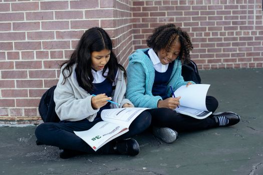 Multiethnic pupils reading textbooks and doing exercises