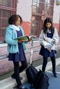 Multiracial attentive smart girls studying lessons and preparing for exams together near school