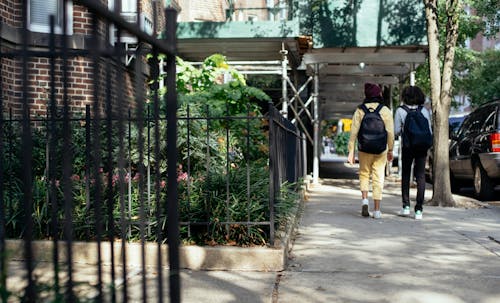 Back view of anonymous girls in casual outfit with backpacks promenading on street