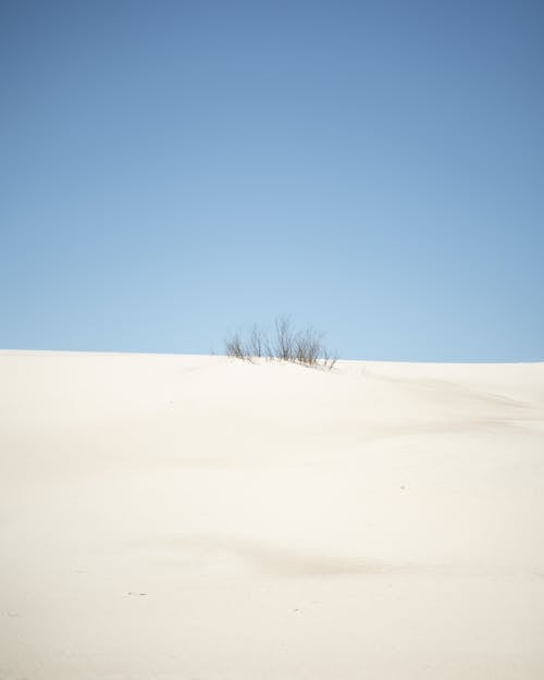 Sand Dune against a Clear Sky