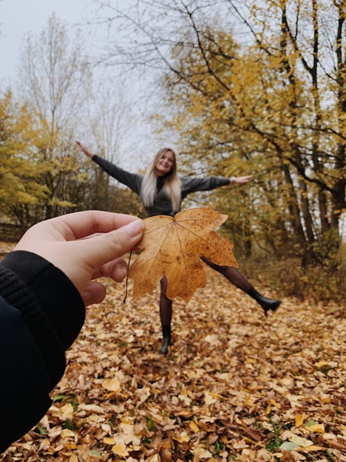 Free Person Holding Brown Dried Leaf Stock Photo