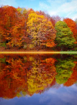 在晴朗的天空下，宁静的湖泊映照着秋天森林的绚丽多彩与五颜六色的树叶