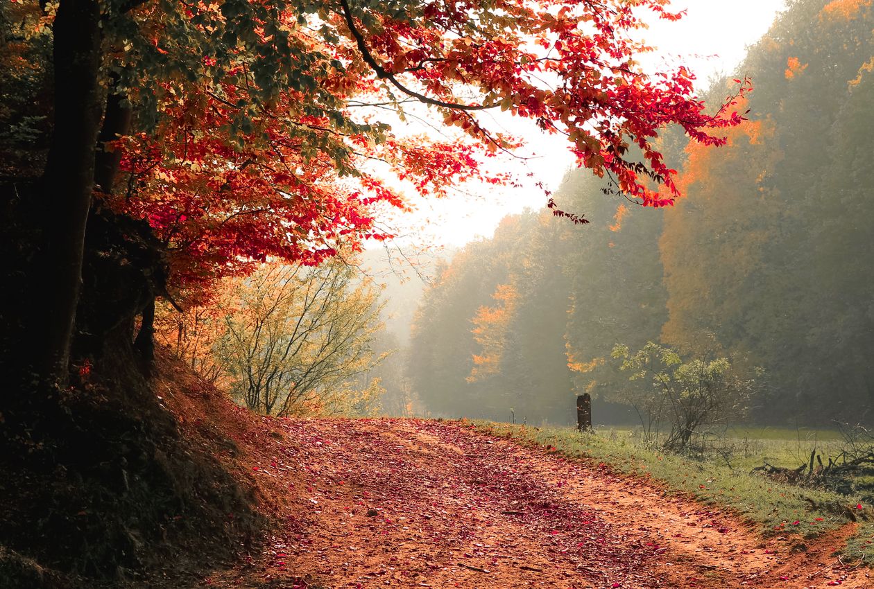 Golden Ridges and Silent Ponds: An Immersive Autumn Hike Through the Middlesex Fells