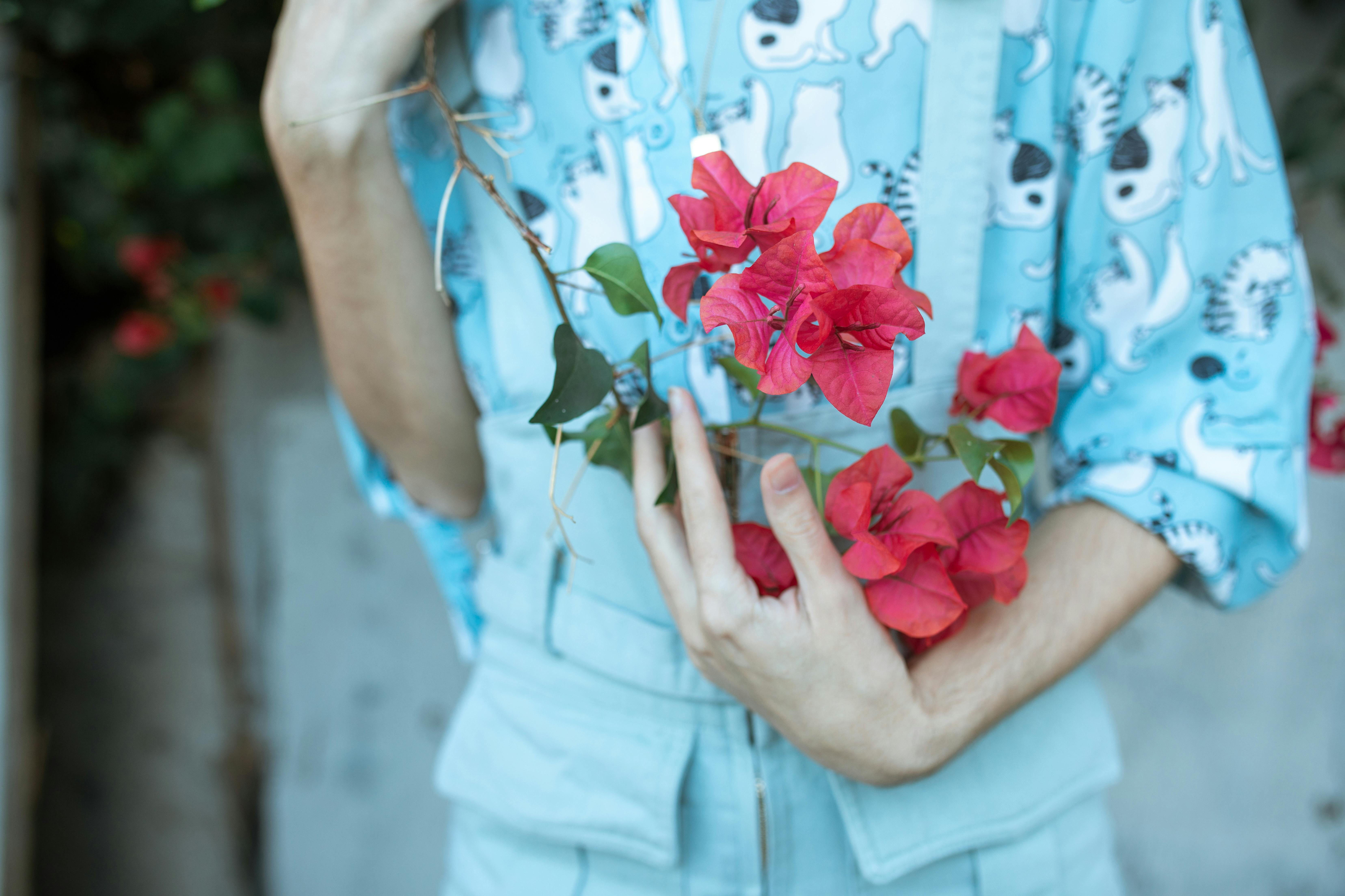 Vibrant pink bougainvillea flowers held by a person wearing a blue shirt with animal prints.