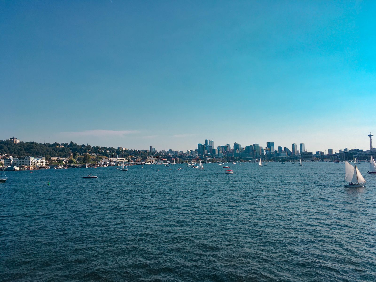 Boats on Lake Union with the Seattle skyline, representing a Thanksgiving dining cruise