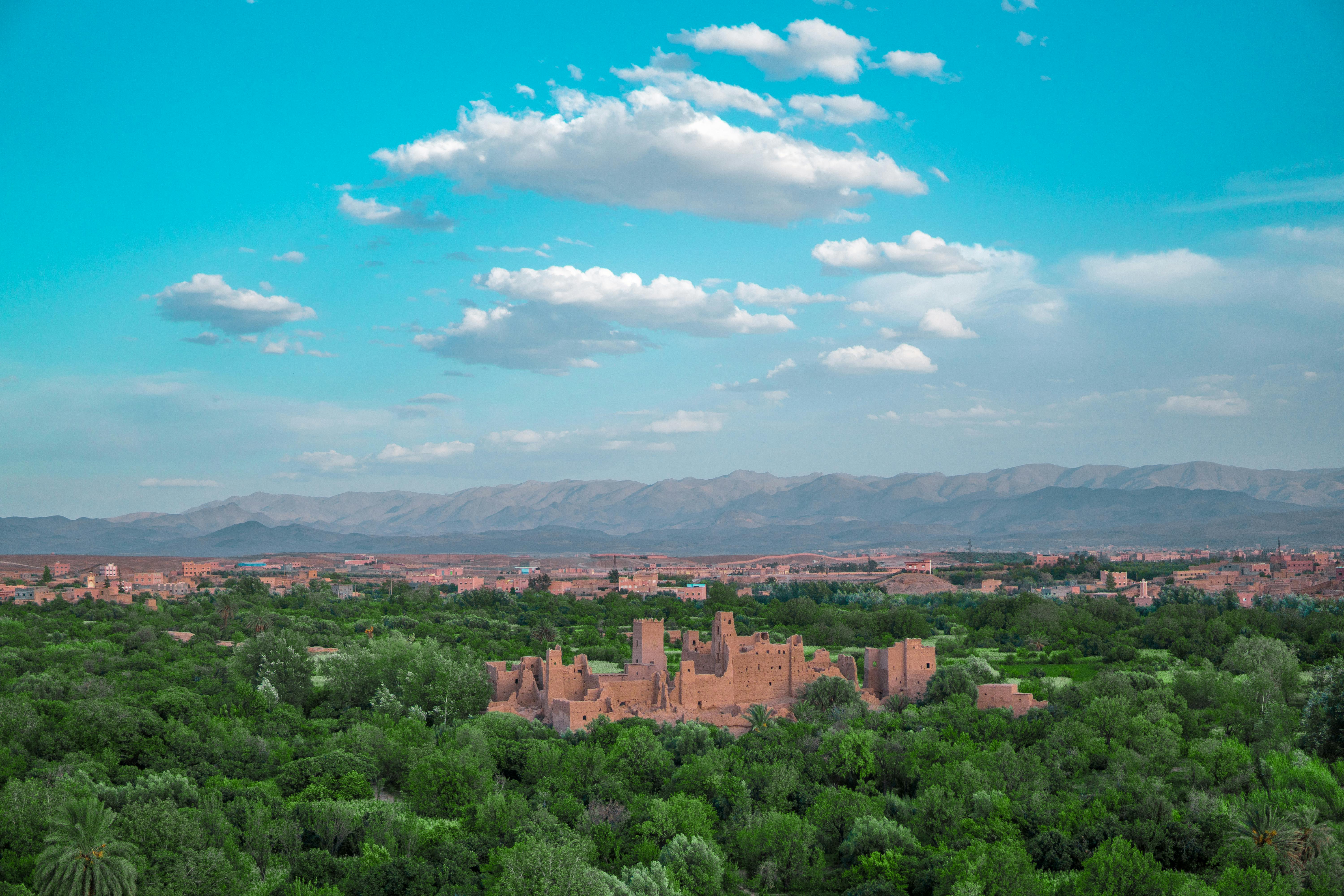 Free stock photo of blue, green, hazardos