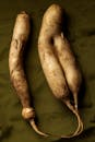 Close-Up Photo of Two Root Vegetables