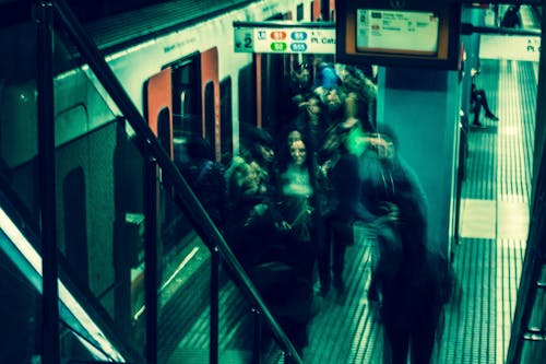 Free stock photo of people, people walking, train station