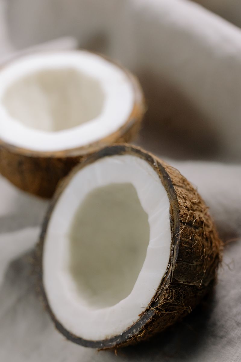 Semi-husked coconuts with thin protective layer for export