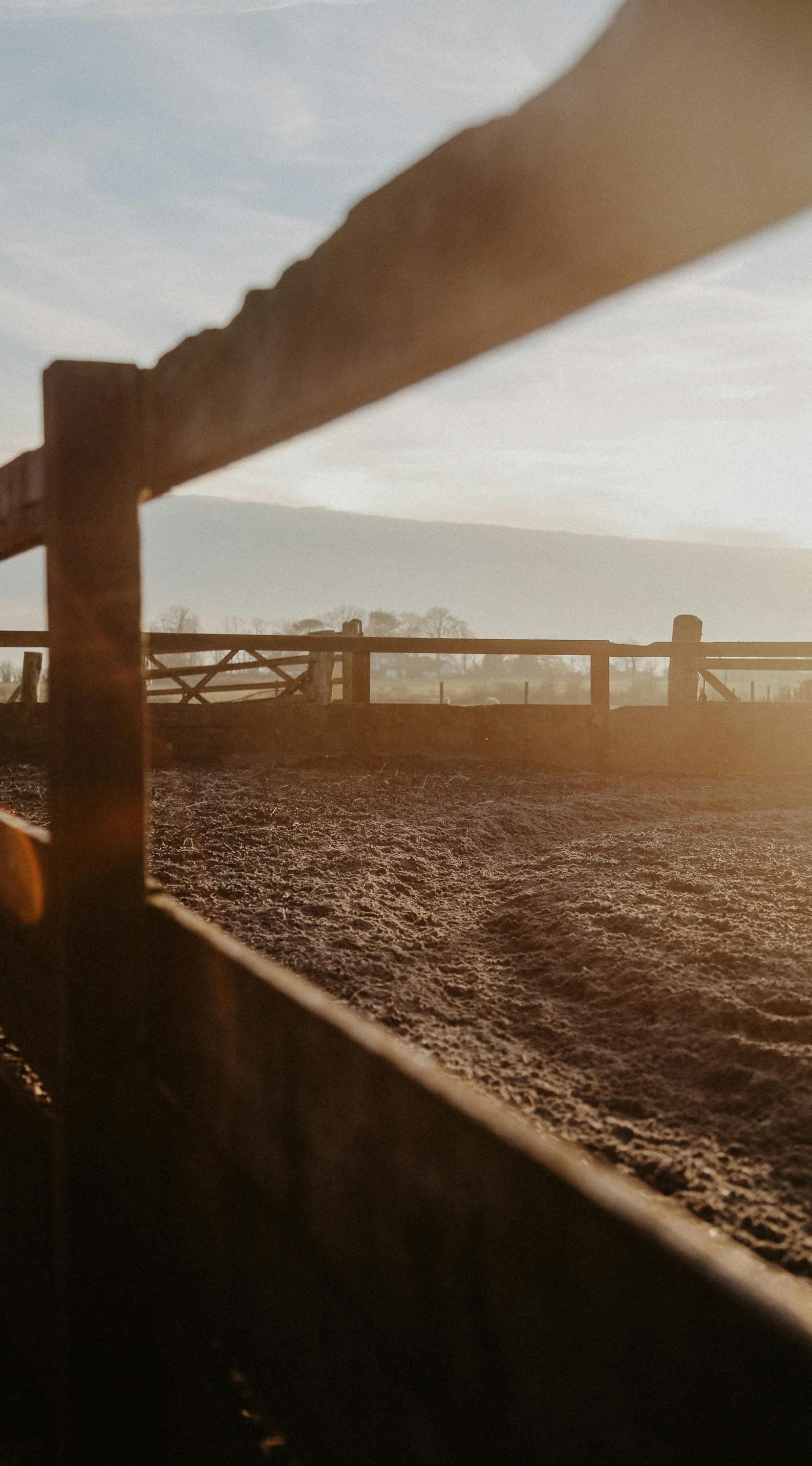 Sunrise casting warm light over rustic wooden fencing on a Scottish farm.