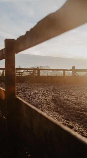 Sunrise casting warm light over rustic wooden fencing on a Scottish farm.