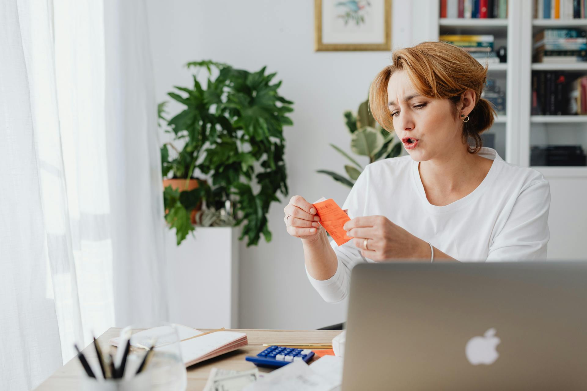 Woman Managing Budget Working on Computer