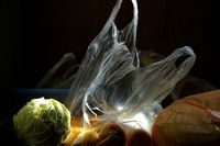 Grocery basket photo by DH 黄 on Pexels