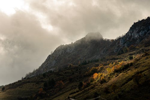 Fotobanka s bezplatnými fotkami na tému horské svahy, idylický, jeseň