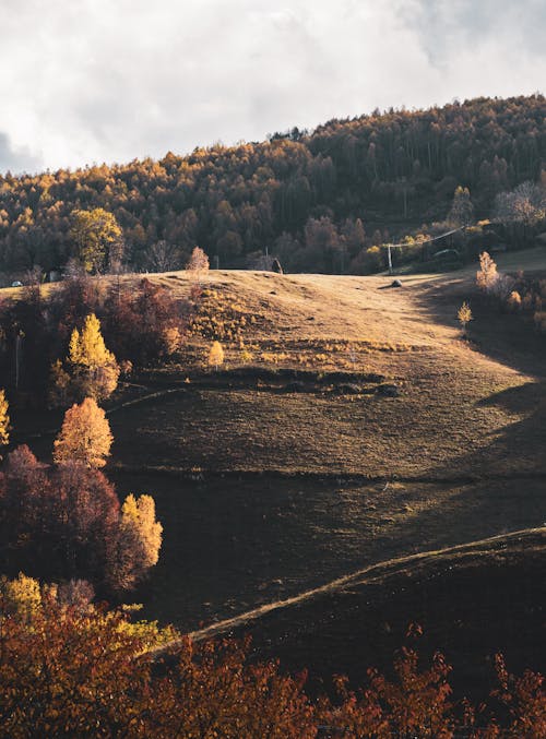 Fotobanka s bezplatnými fotkami na tému hory, jeseň, kopce