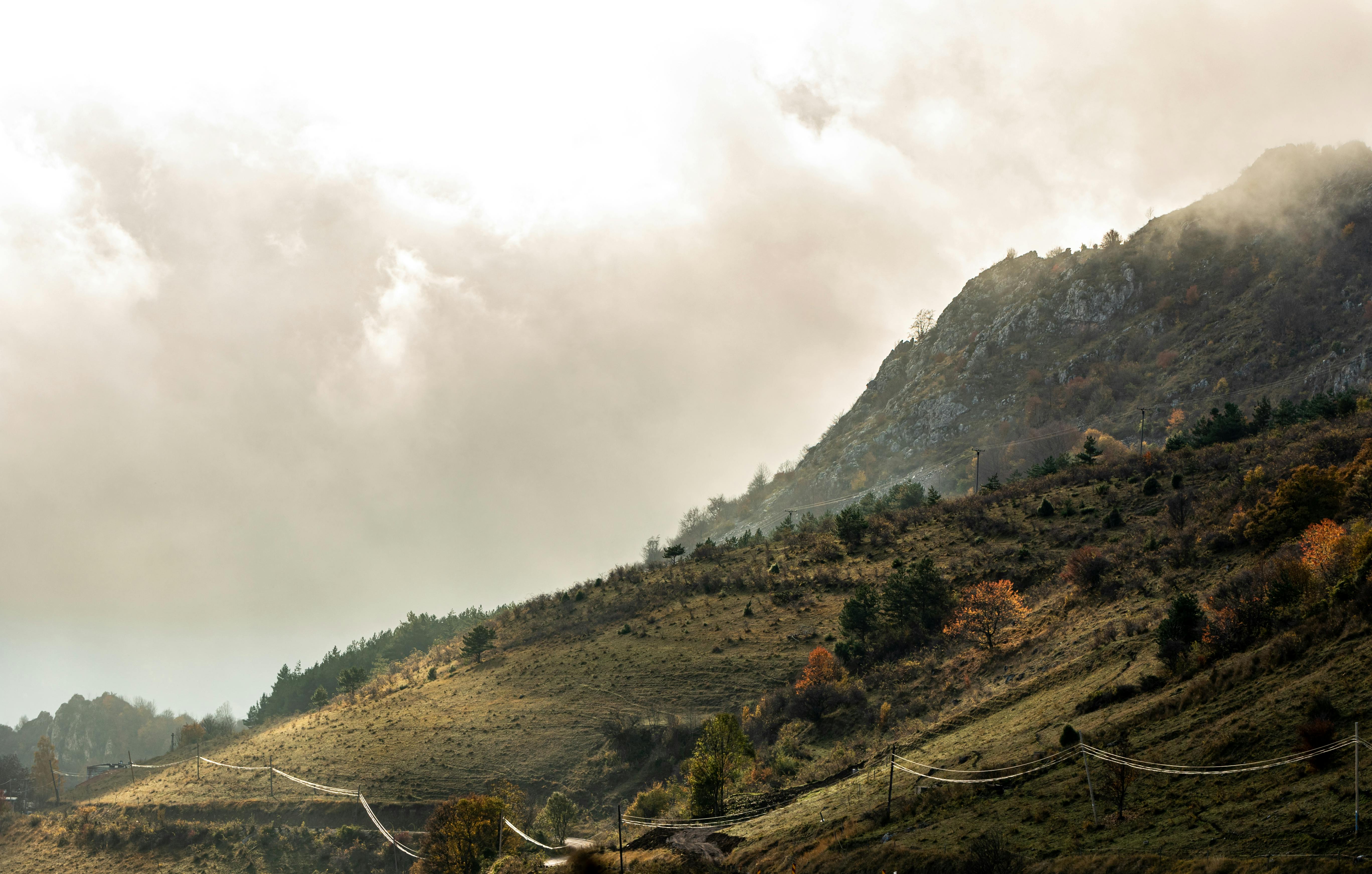 Cod galben de ceață pentru mai multe localități din județul Botoșani