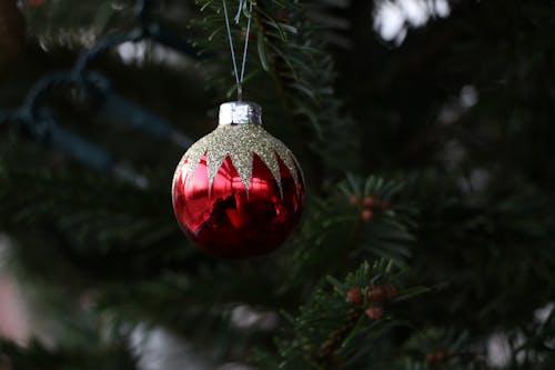 Close-Up Shot of a Red Christmas Ball on a Christmas Tree