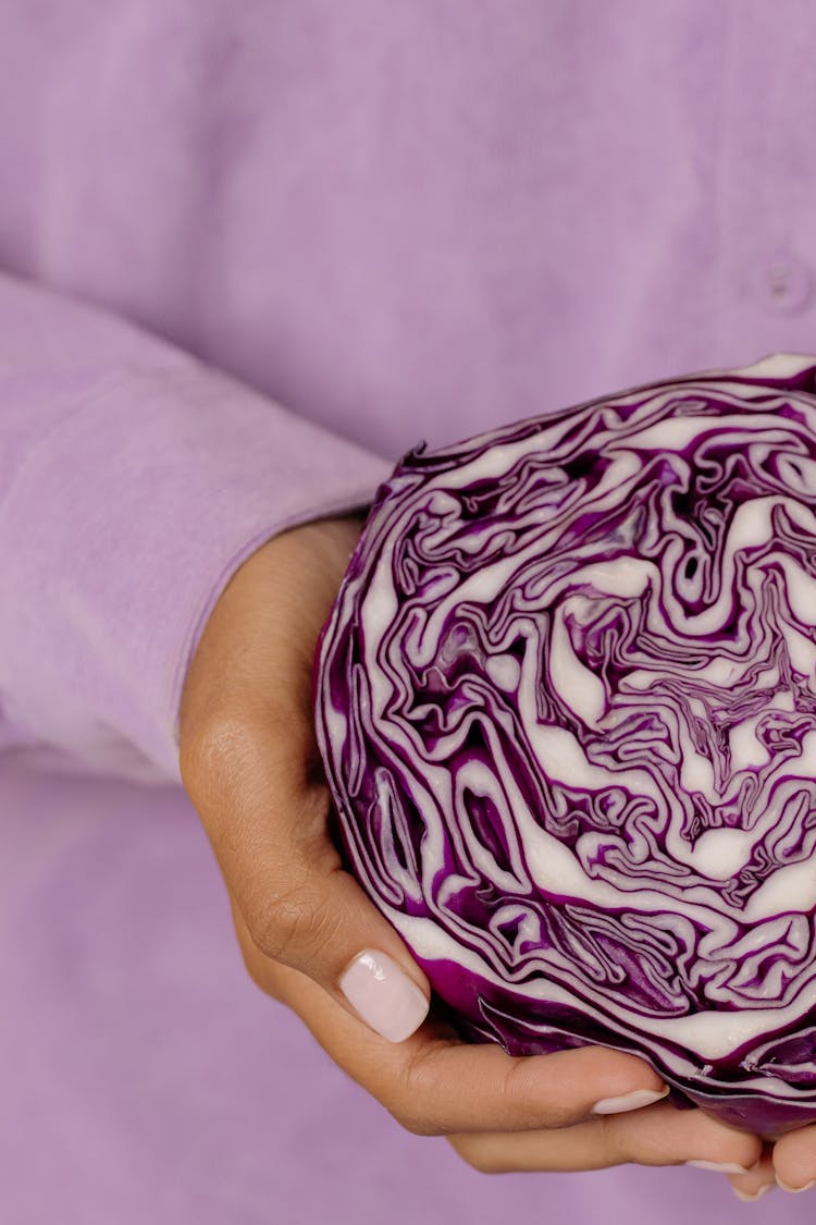 Person Holding Red Cabbage