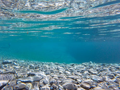 Free Unterwasserfotografie Von Klarem Wasser Stock Photo