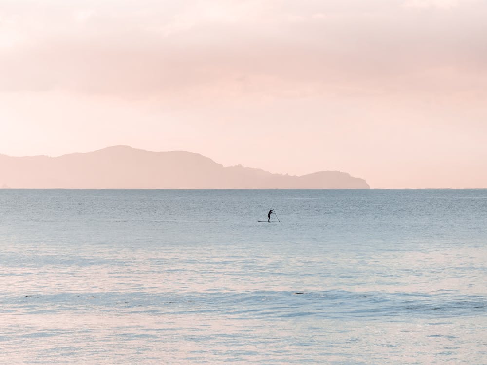 Безкоштовне стокове фото на тему «sup, берег моря, весло»