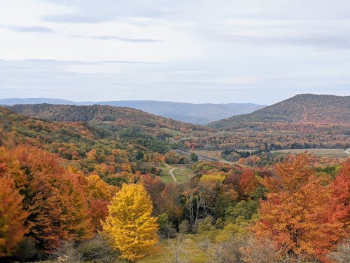 Fotobanka s bezplatnými fotkami na tému fotografia prírody, jeseň, kopce