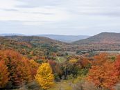 Green and Brown Trees on Mountain Under White Clouds
