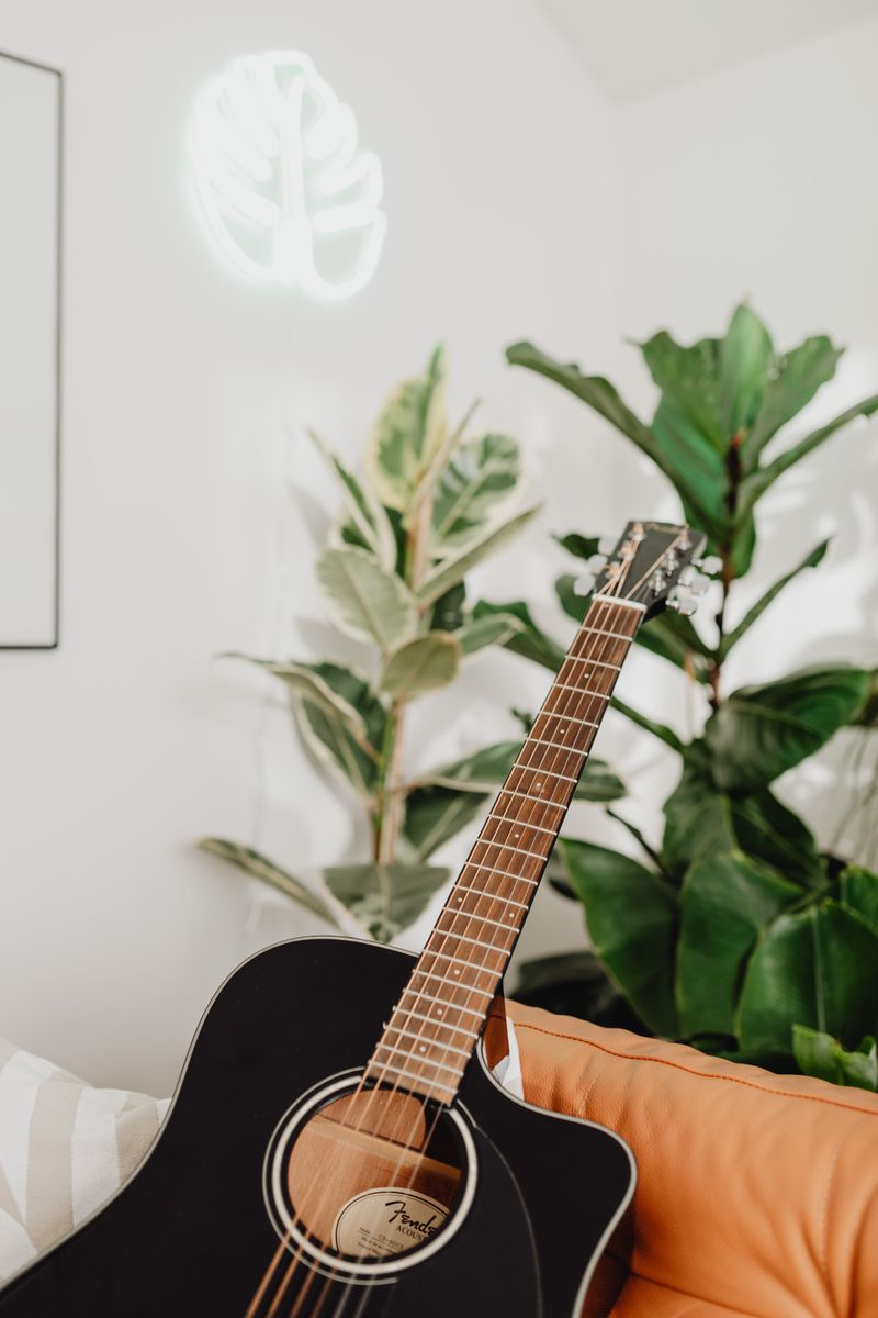 Acoustic guitar resting by a plant