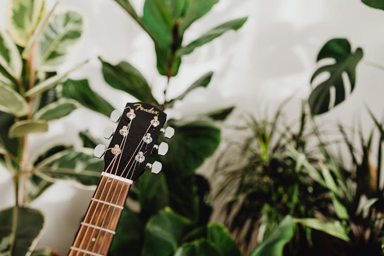 Photo Of A Guitar Headstock