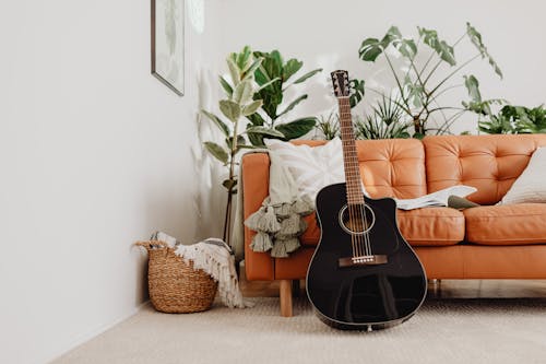 Gratis lagerfoto af akustisk guitar, dekoration, hus planter