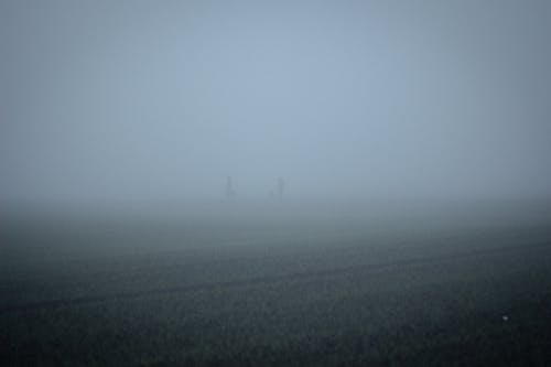霧の中の人々の無料の写真素材