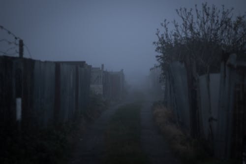 Free stock photo of dense fog, fog, migla