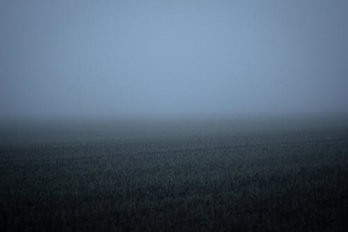 Free stock photo of field in the fog, fog, migla