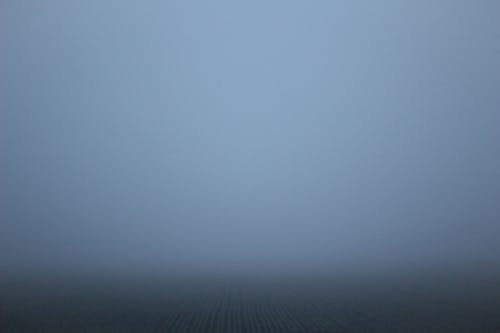 Free stock photo of field in the fog, fog, migla