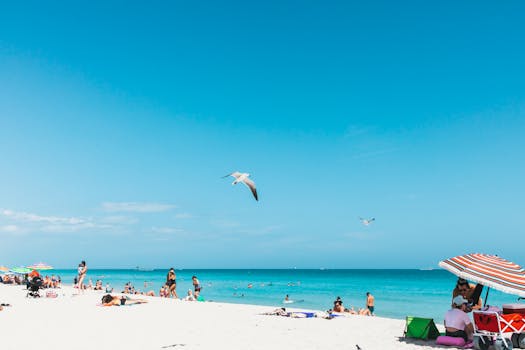 Vibrant summer day at Miami Beach with beachgoers, umbrellas, and seagulls under a clear blue sky.