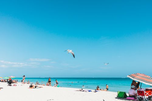 Free Vibrant summer day at Miami Beach with beachgoers, umbrellas, and seagulls under a clear blue sky. Stock Photo