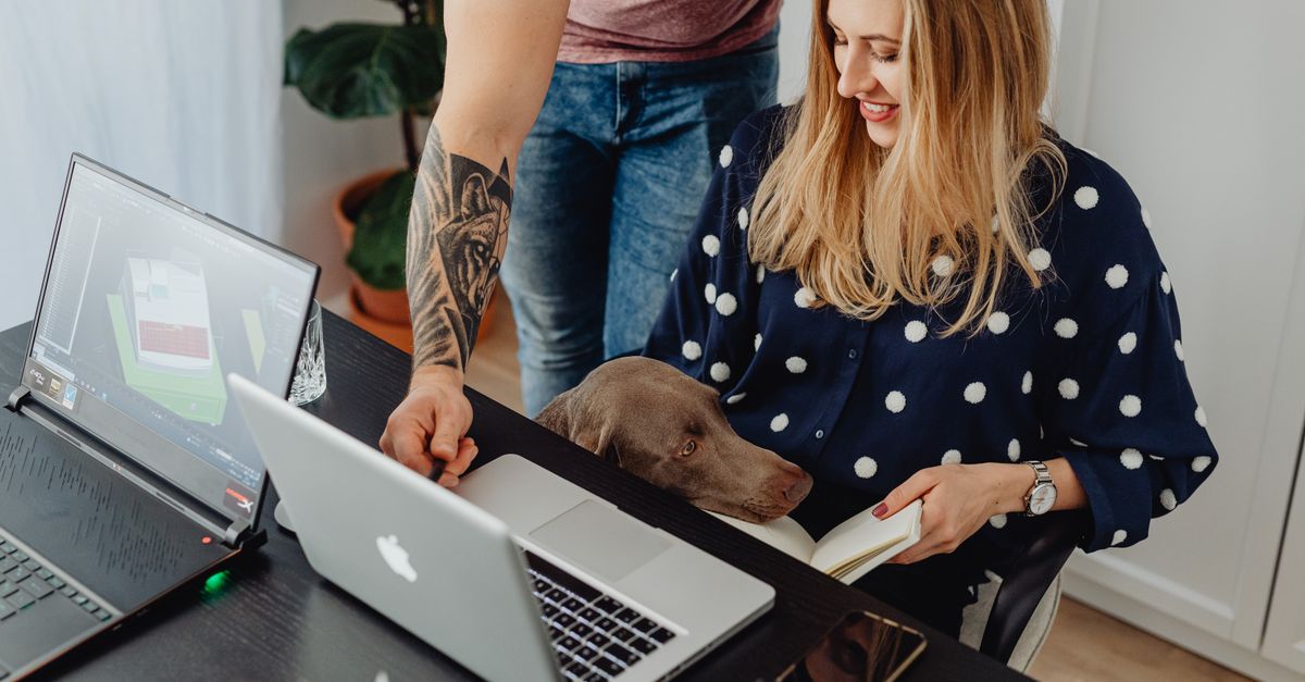 How to Create a Pet-Friendly Workspace at Home