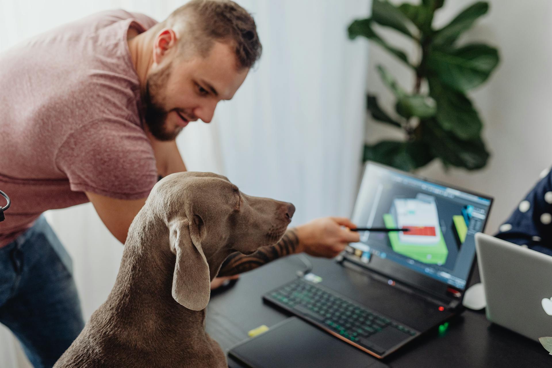 A Man Standing Beside a Brown Dog while Pointing the Screen of a Laptop