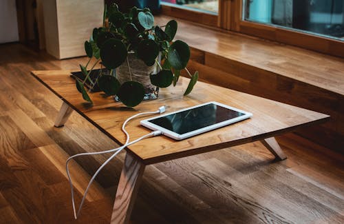 Free Tablet with charger on table near potted plant in room Stock Photo
