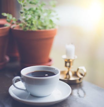 A white coffee cup on a saucer beside plants and a brass candle holder for a cozy ambiance.