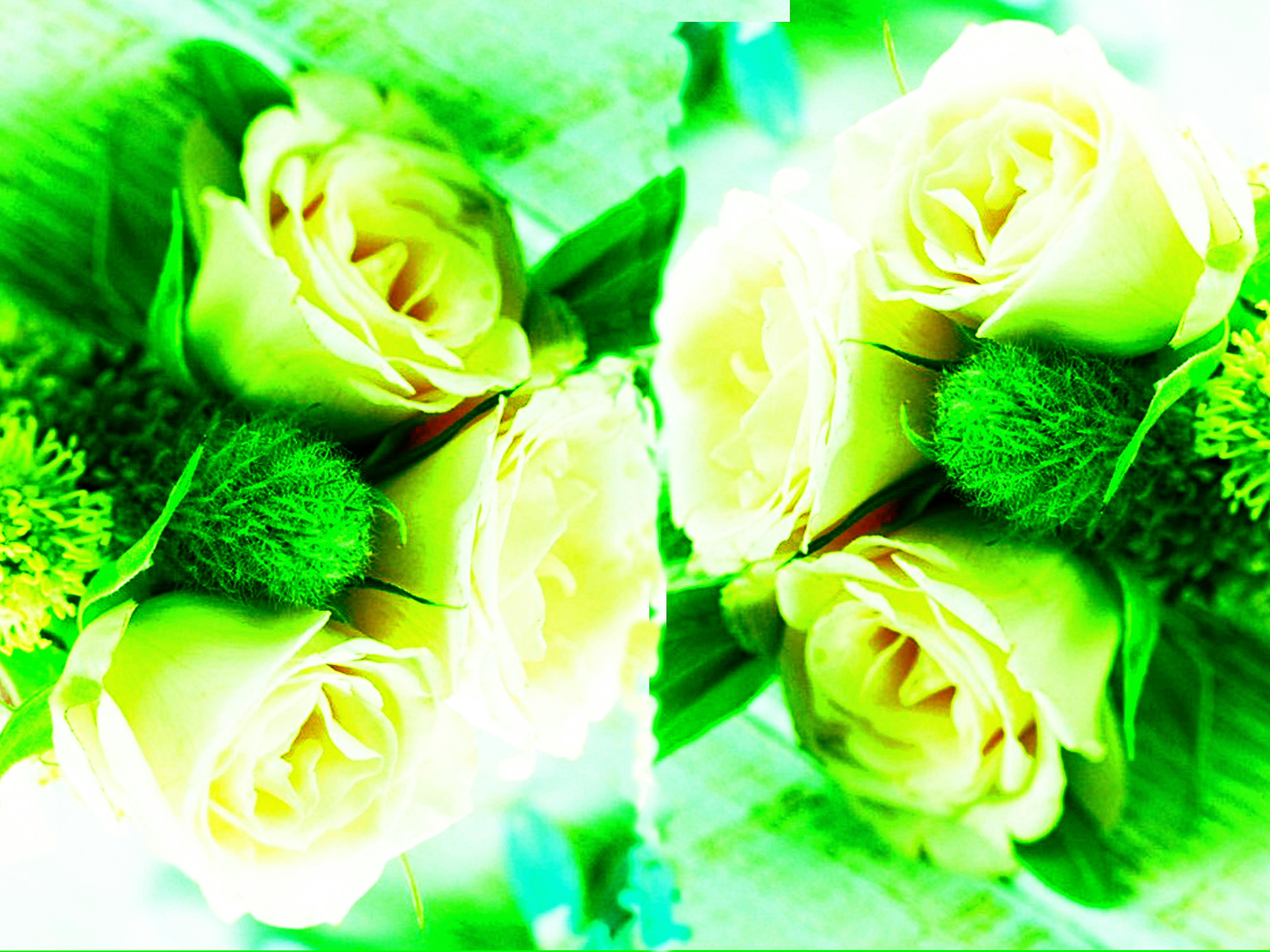 Customized Cups & Tumblers