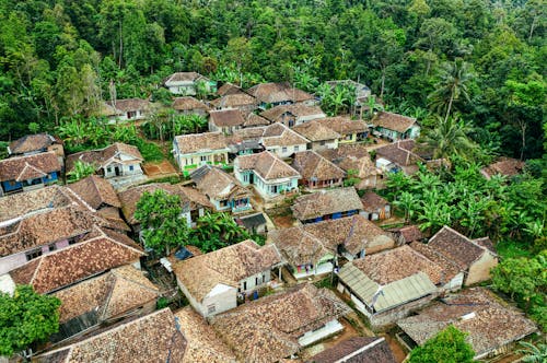 Traditional Asian village surrounded by tropical woods