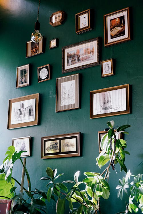 Picture Frames Hanging on the Wall