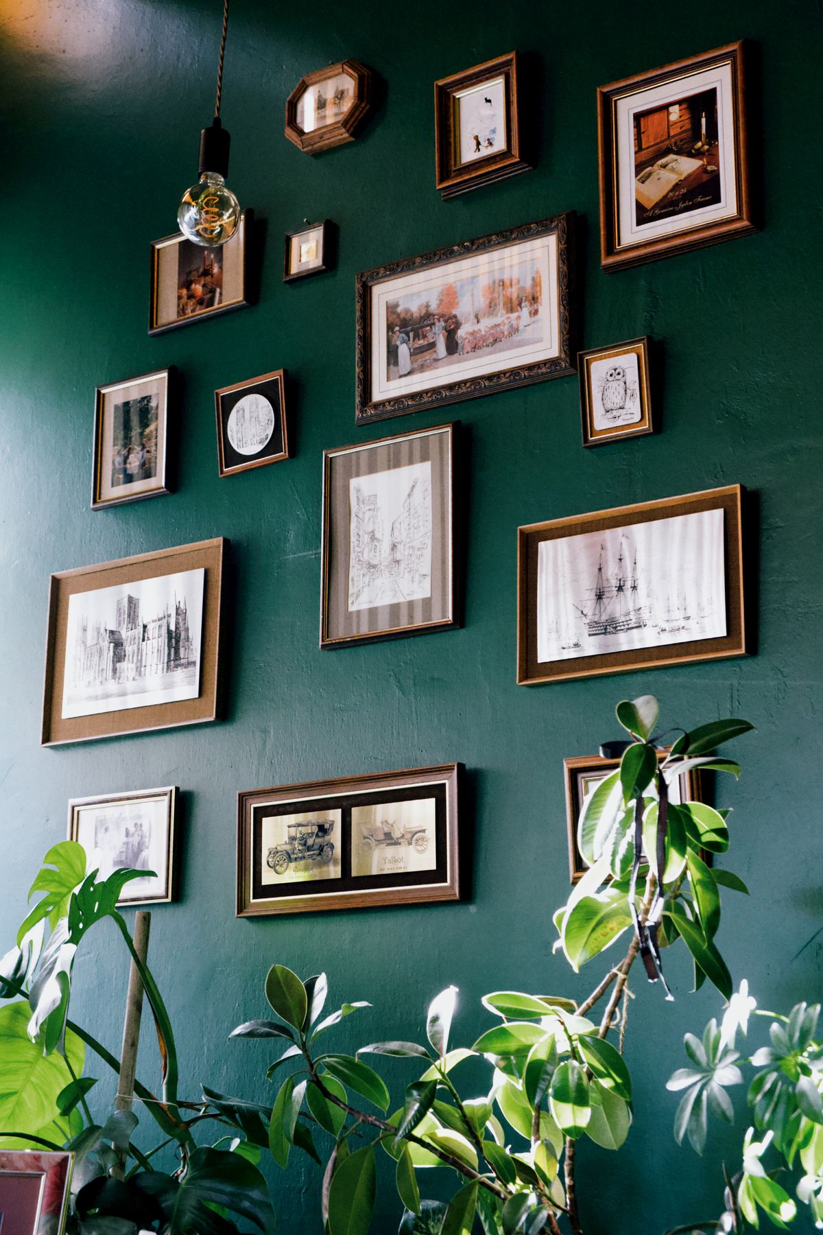 Framed prints on a green gallery wall