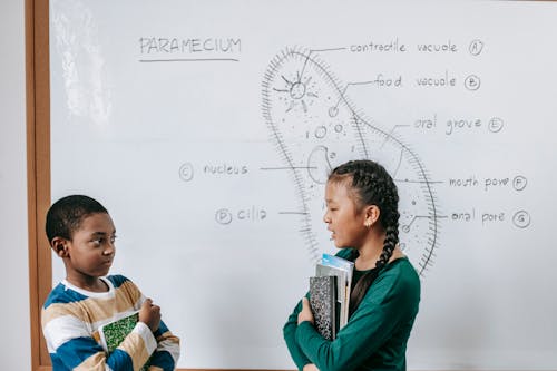 Side view of smart black little boy and Asian girl standing near whiteboard and answering question together during biology class