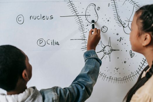 Back view of anonymous multiracial classmates describing primitive organism on whiteboard in classroom