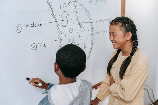 Cheerful diverse classmates drawing scheme of Infusoria with marker on whiteboard in classroom