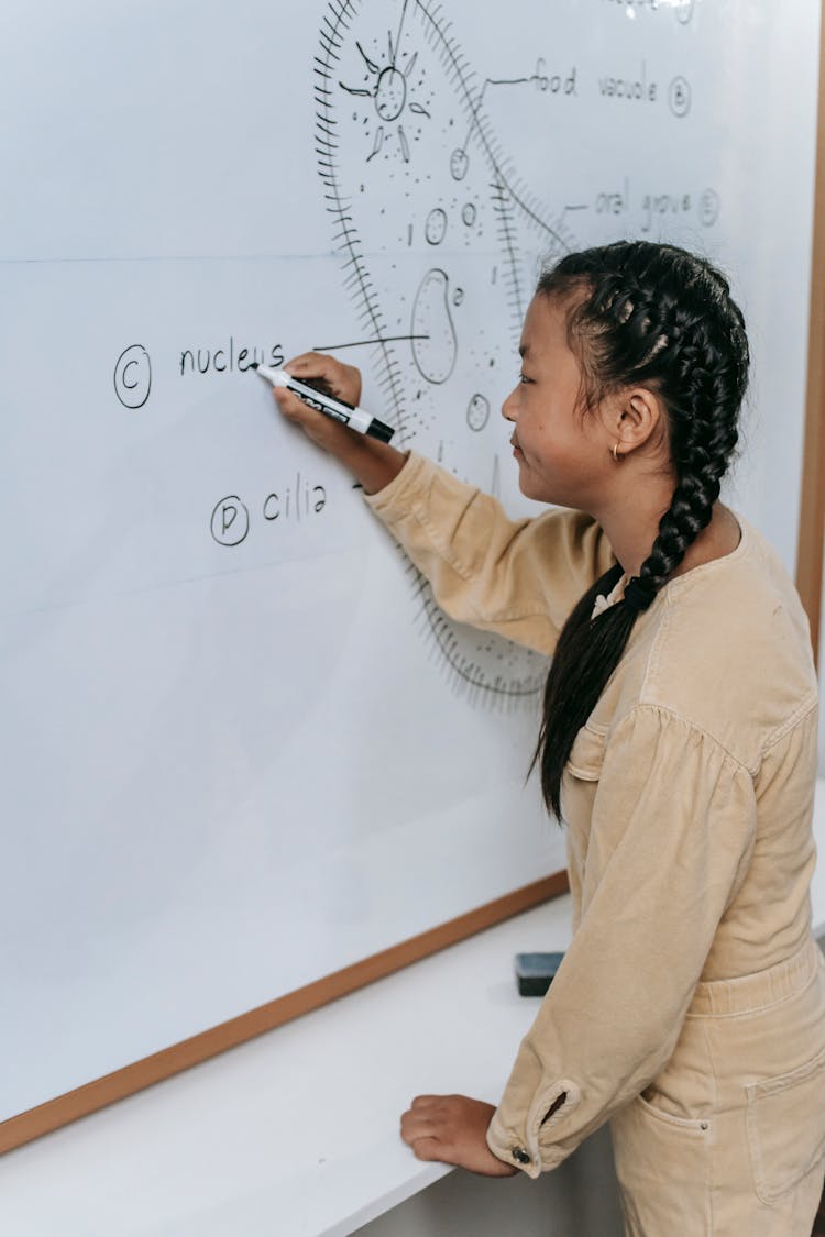 Serious Asian Teen Writing On Whiteboard